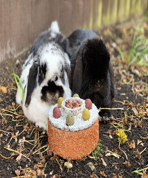 Rosewood Celebration Cake Small Pet Treat