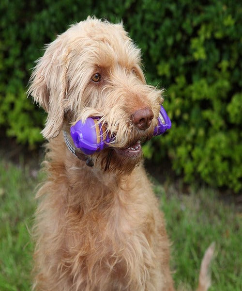 Rosewood Jolly Doggy Giggle Bone Dog Toy