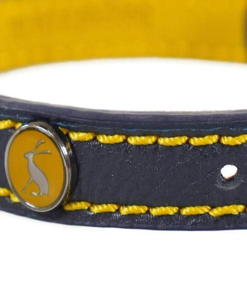 Rosewood Joules Leather Dog Collar