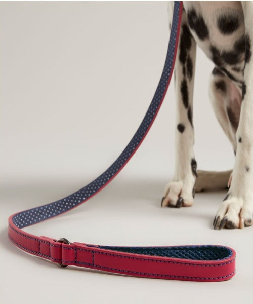 Rosewood Joules Leather Dog Lead