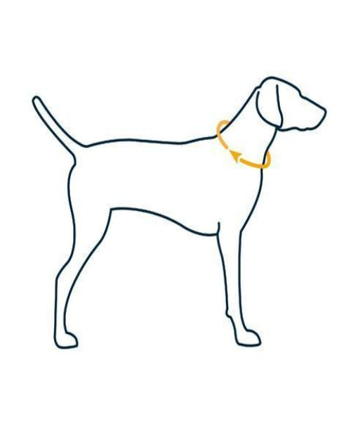 Ruffwear Crag Reflective Dog Collar