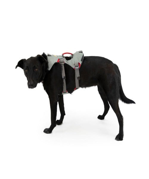 Ruffwear Doubleback™ Strength-Rated Safety Dog Harness