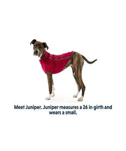 Ruffwear Fernie Knit Fleece Dog Jacket