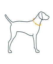Ruffwear Front Range Dog Collar