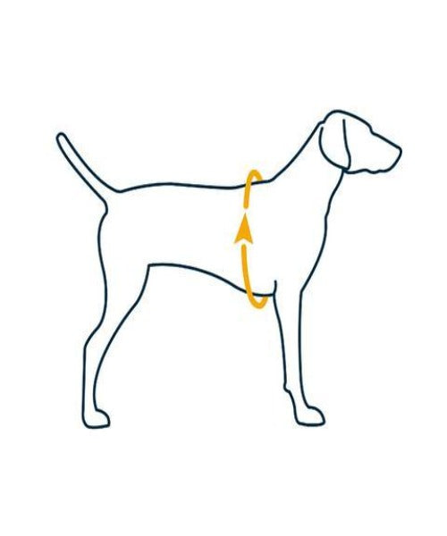 Ruffwear Front Range Comfortable No-Pull Dog Harness