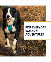 Ruffwear Front Range Dog Leash