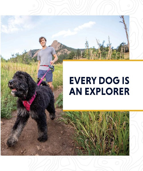 Ruffwear Front Range Dog Leash