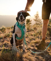 Ruffwear Front Range™ Comfortable No-Pull Dog Harness