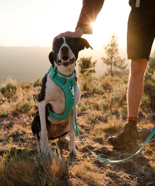 Ruffwear Front Range™ Comfortable No-Pull Dog Harness
