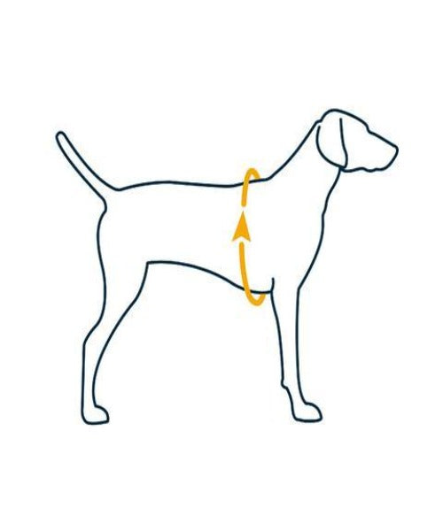 Ruffwear Front Range™ Comfortable No-Pull Dog Harness
