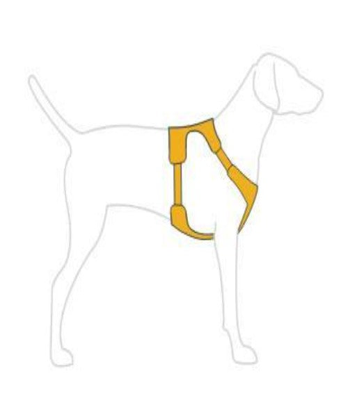 Ruffwear Front Range™ Comfortable No-Pull Dog Harness