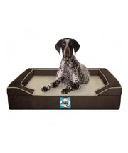 Sealy Lux Orthopaedic Dog Bed