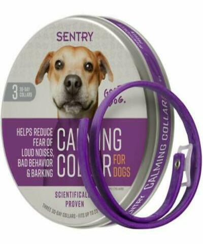 Sentry Calming Dog Collar