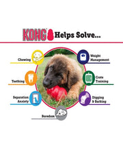 Kong Classic Treat Dog Toy - Pet Mall