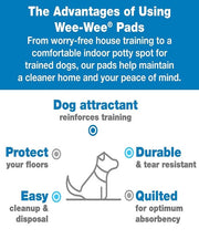 Wee-Wee Super Absorbent Dog Training Pads 22 pcs