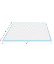 Wee-Wee Super Absorbent Dog Training Pads 22 pcs