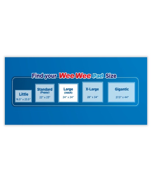 Wee-Wee Super Absorbent Dog Training Pads 22 pcs