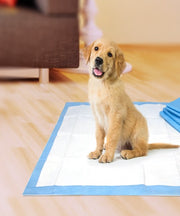 Wee-Wee Superior Performance Dog Training Pads