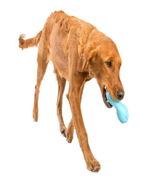 West Paw Zogoflex-Original Tough Qwizi Dog Toy