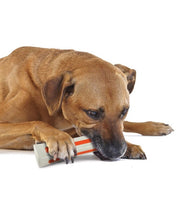 Petstages Beyond Bone Large Dog Toy - Pet Mall