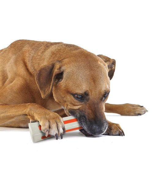 Petstages Beyond Bone Large Dog Toy - Pet Mall