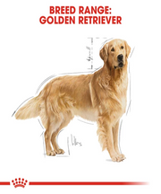 Royal Canin Golden Retriever Adult Dog Food 12KG - Pet Mall 