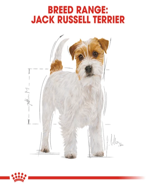 Royal Canin Jack Russell Adult Dog Food - Pet Mall 