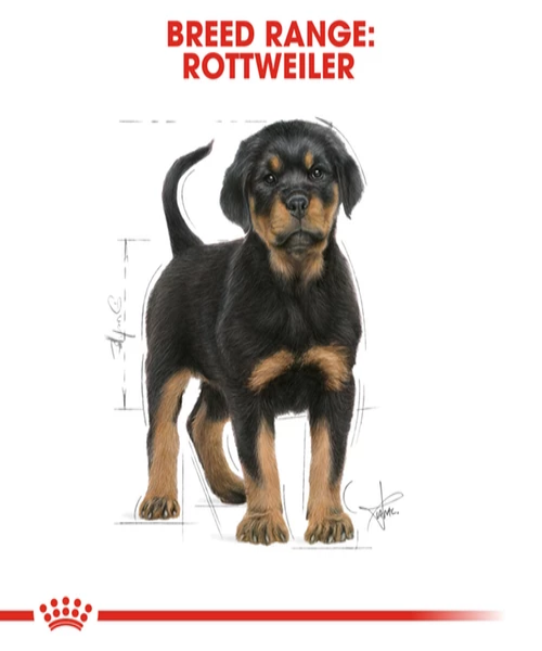 Royal Canin Rottweiler Junior Puppy Food 12 KG – The Pet Tack Shop