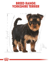 Royal Canin Yorkshire Terrier Junior Puppy Food - Pet Mall 