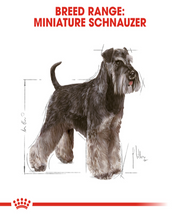 Royal Canin Miniature Schnauzer Adult Dog Food - Pet Mall 