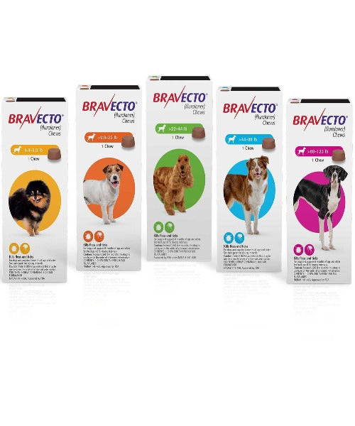Bravecto Chewable Tick & Flea Tablet for Small Dogs (4.5-10kg)