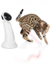 All For Paws Interactive Laser Beam Cat Toy - Pet Mall