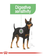 Royal Canin Mini Digestive Care Adult Dog Food 3 KG - Pet Mall 