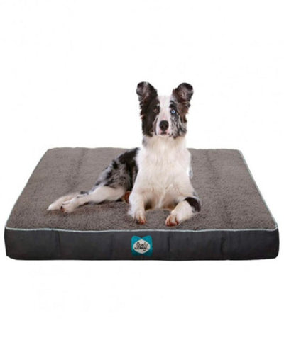 Sealy Cushy Comfy Flat Dog Bed - Pet Mall