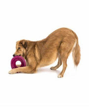 West Paw Zogoflex Air Squish Play Dash Dog Toy
