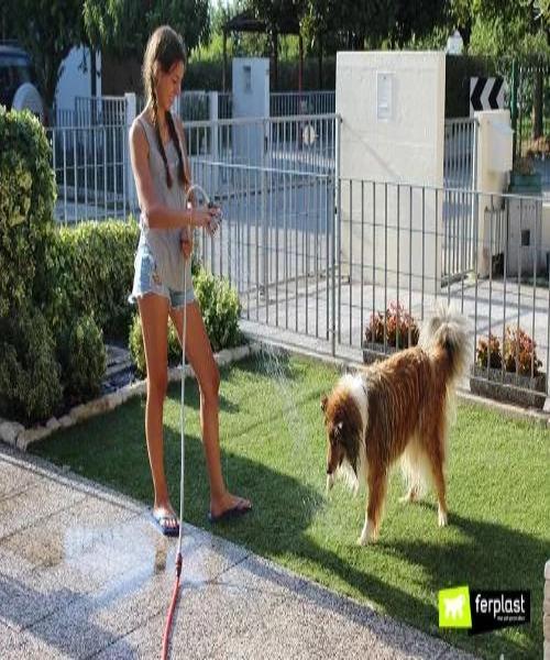 All For Paws Travel Dog Shower - Pet Mall