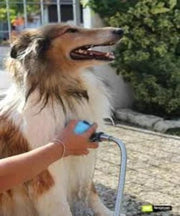 All For Paws Travel Dog Shower - Pet Mall