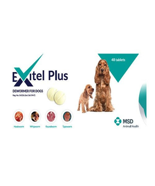 MSD EXITEL PLUS TABLETS DEWORMER FOR DOGS 48'S TAPEWORM TREATMENT - Pet Mall