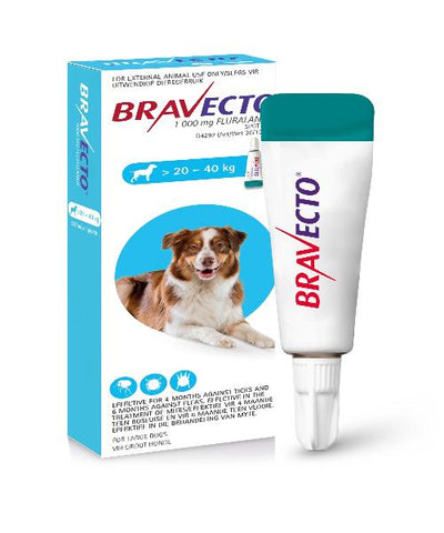 Bravecto Spot On Tick & Flea Treatment for Large  Dogs (>20-40KG) 1000MG - Pet Mall