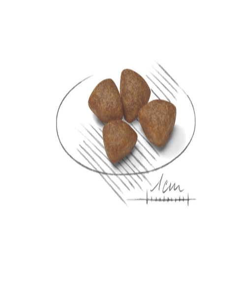 Royal Canin Mini Starter Mother & Babydog Food - Pet Mall 