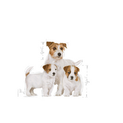 Royal Canin Mini Starter Mother & Babydog Food - Pet Mall 