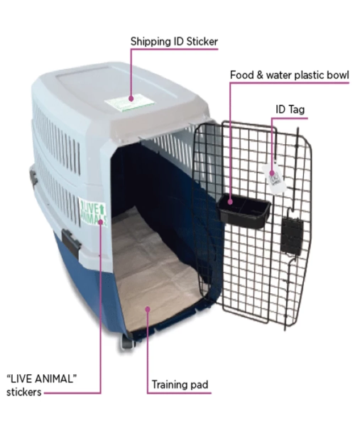 MPETS Viaggio Pet Carrier Travel Kit The Pet & Tack Shop
