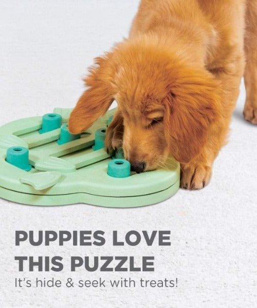 Nina Ottosson Puppy Hide N' Slide Toy
