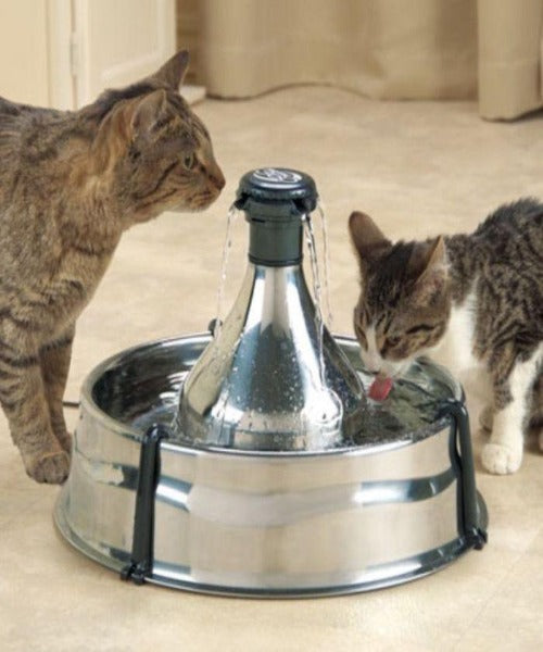 Drinkwell® 360 Stainless Steel Pet Fountain - Pet Mall