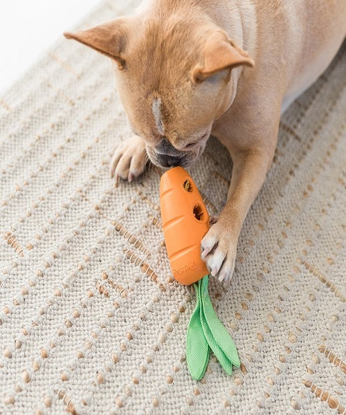 Petstages Carrot Stuffer Dog Toy - Pet Mall