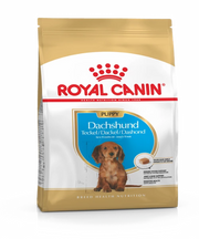 Royal Canin Dachshund Puppy Food 1,5Kg - Pet Mall 