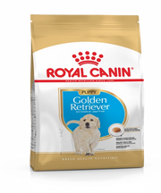 Royal Canin Golden Retriever Junior Puppy Food 12KG - Pet Mall 