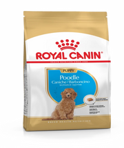 Royal Canin Poodle Junior Puppy Food 3 Kg - Pet Mall 