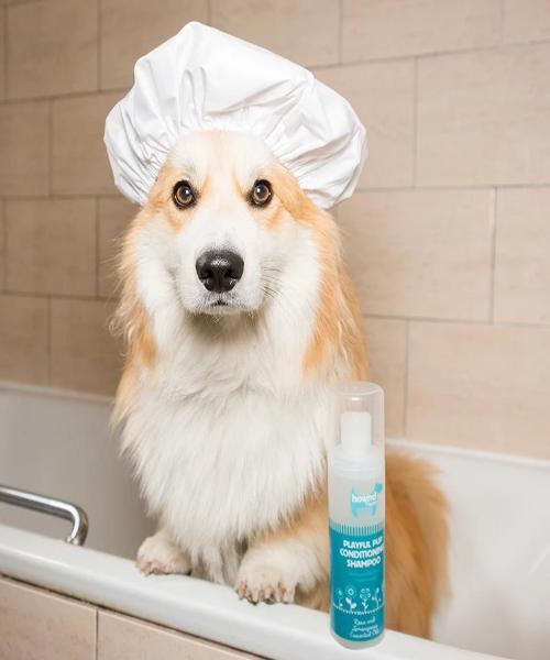 Hownd PLAYFUL PUP NATURAL CONDITIONING SHAMPOO - Pet Mall