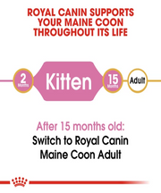 Royal Canin Maine Coon Kitten Food - Pet Mall 